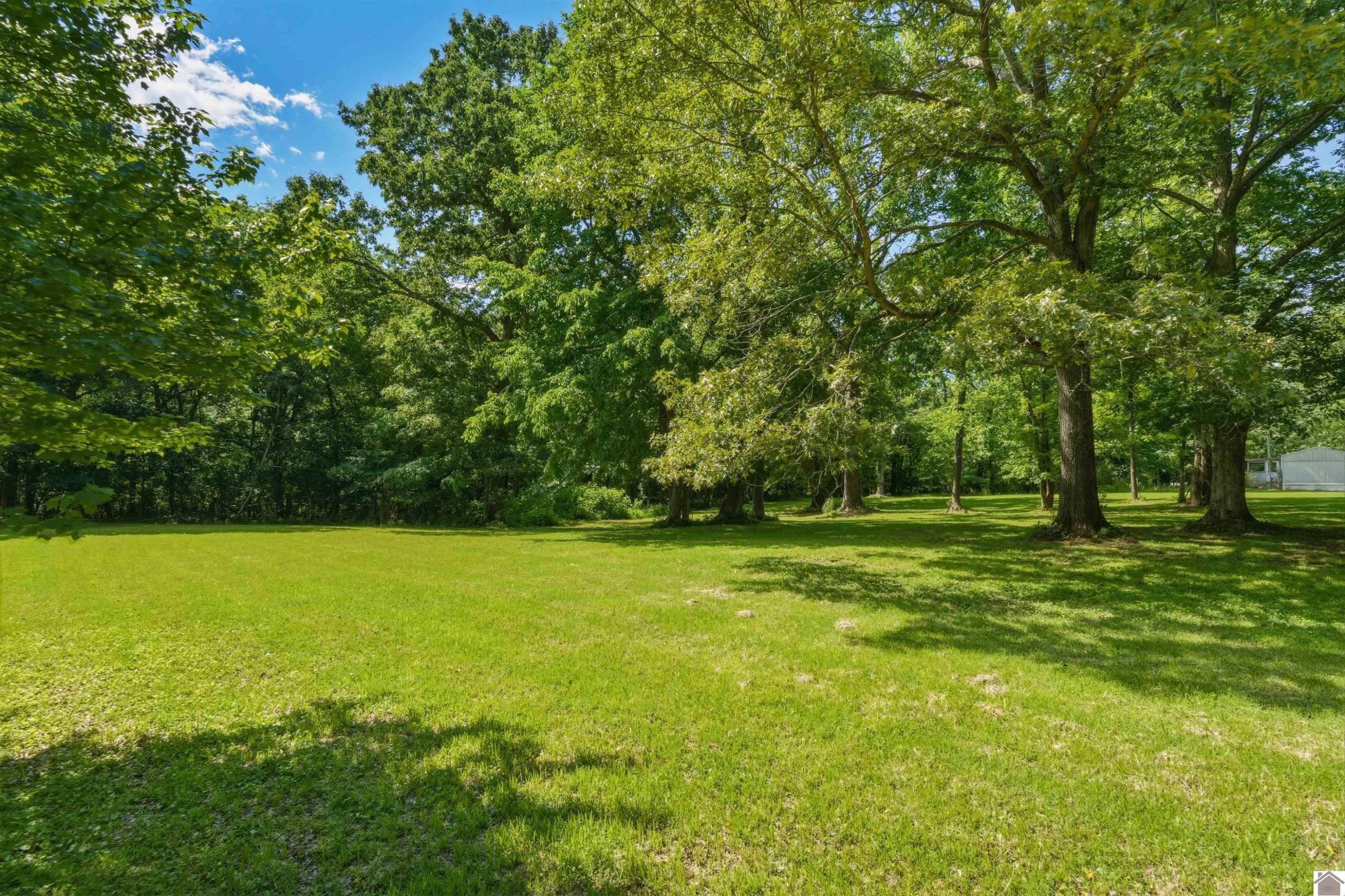 436 Rudy Brooks Lane Benton, KY 42025 - Photo 34 of 37 Yard