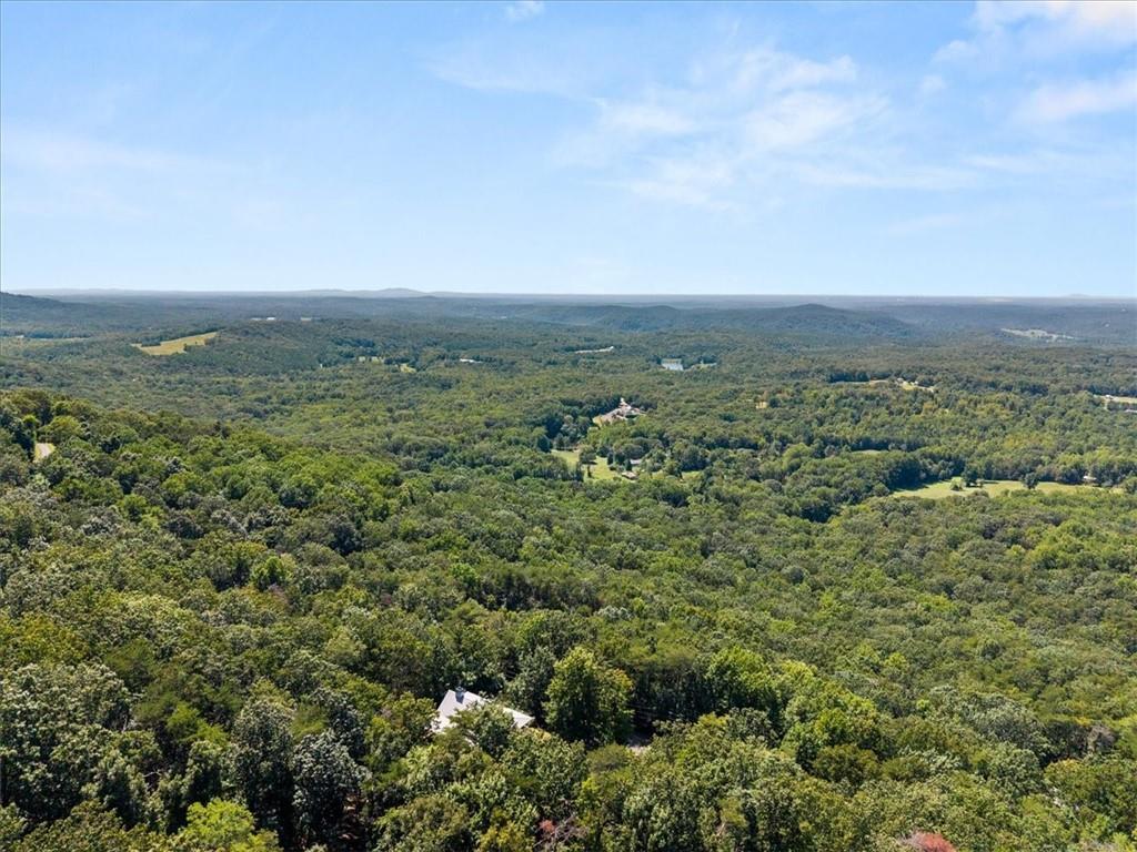 157 Sunrise Terrace Jasper, GA 30143 - Photo 43 of 54 an aerial view of residential houses with outdoor space and trees