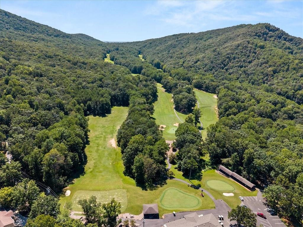 157 Sunrise Terrace Jasper, GA 30143 - Photo 48 of 54 an aerial view of a house