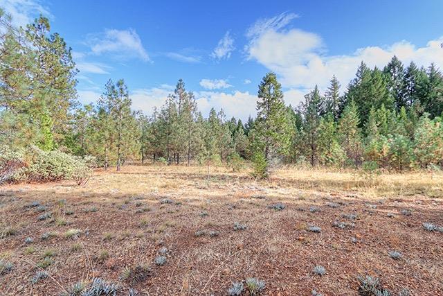 1588 Lone Mountain Road O'Brien, OR 97534 - Photo 19 of 23 Additional Photo