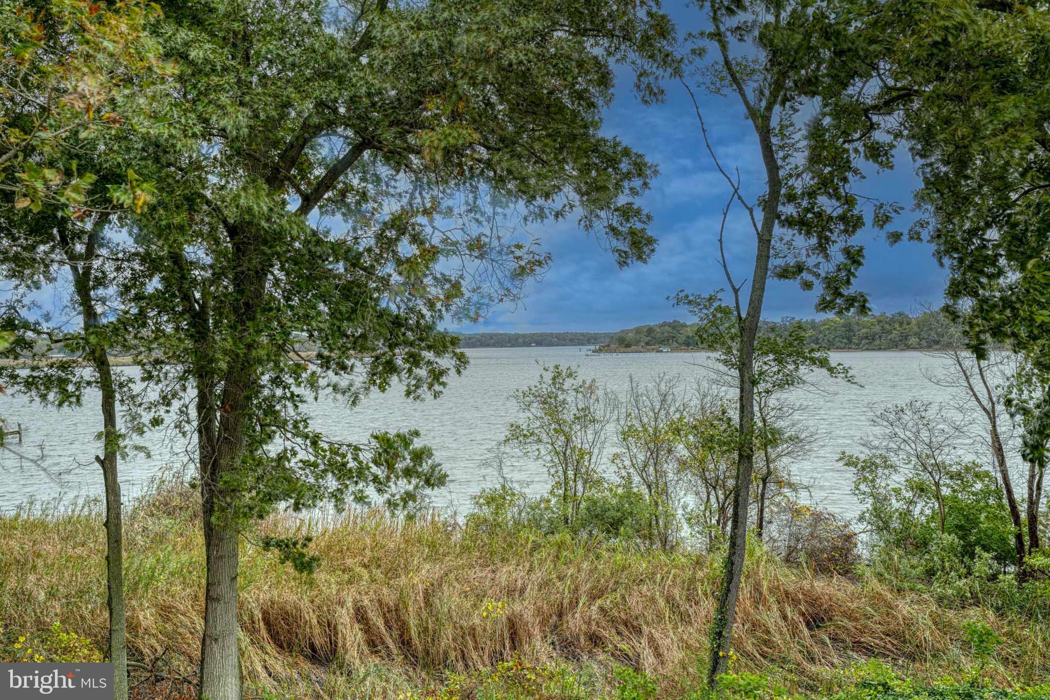 492 Pear Tree Point Road Chestertown, MD 21620 - Photo 30 of 73 Porch views