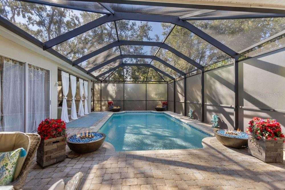 9050 Callaway Drive Trinity, FL 34655 - Photo 40 of 46