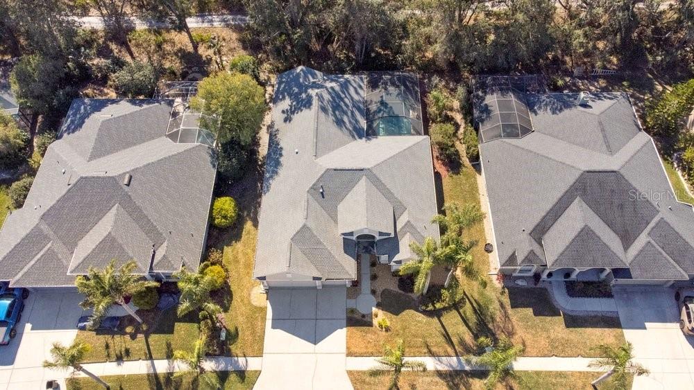 9050 Callaway Drive Trinity, FL 34655 - Photo 4 of 46