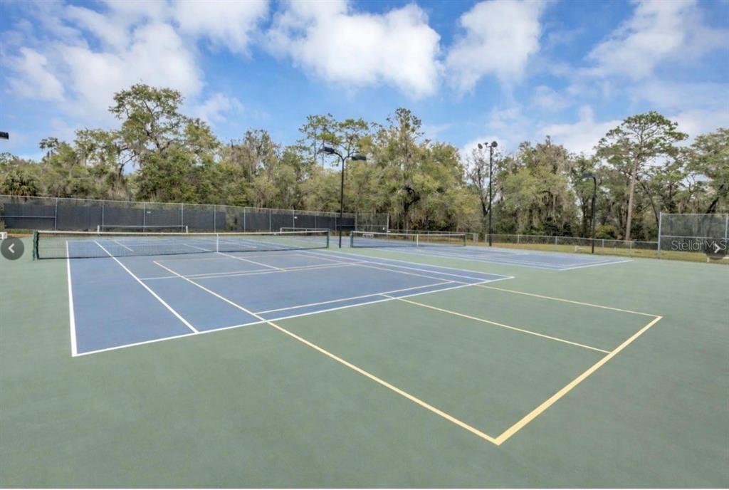 9092 Southwest 192nd Court Road Dunnellon, FL 34432 - Photo 46 of 50