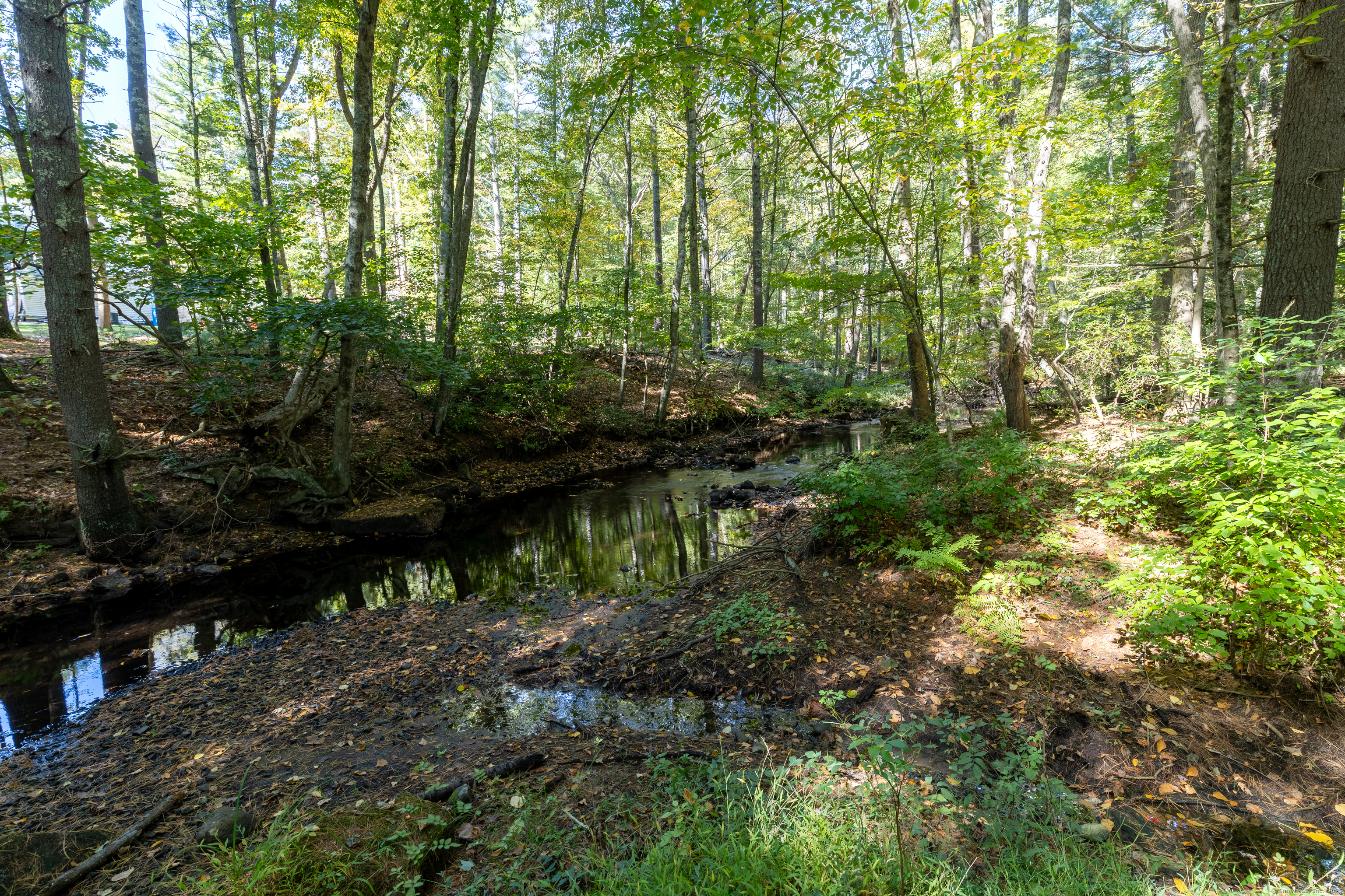 48 Quailcrest Road East Lyme, CT 06333 - Photo 29 of 31 a view of a lake in middle of forest