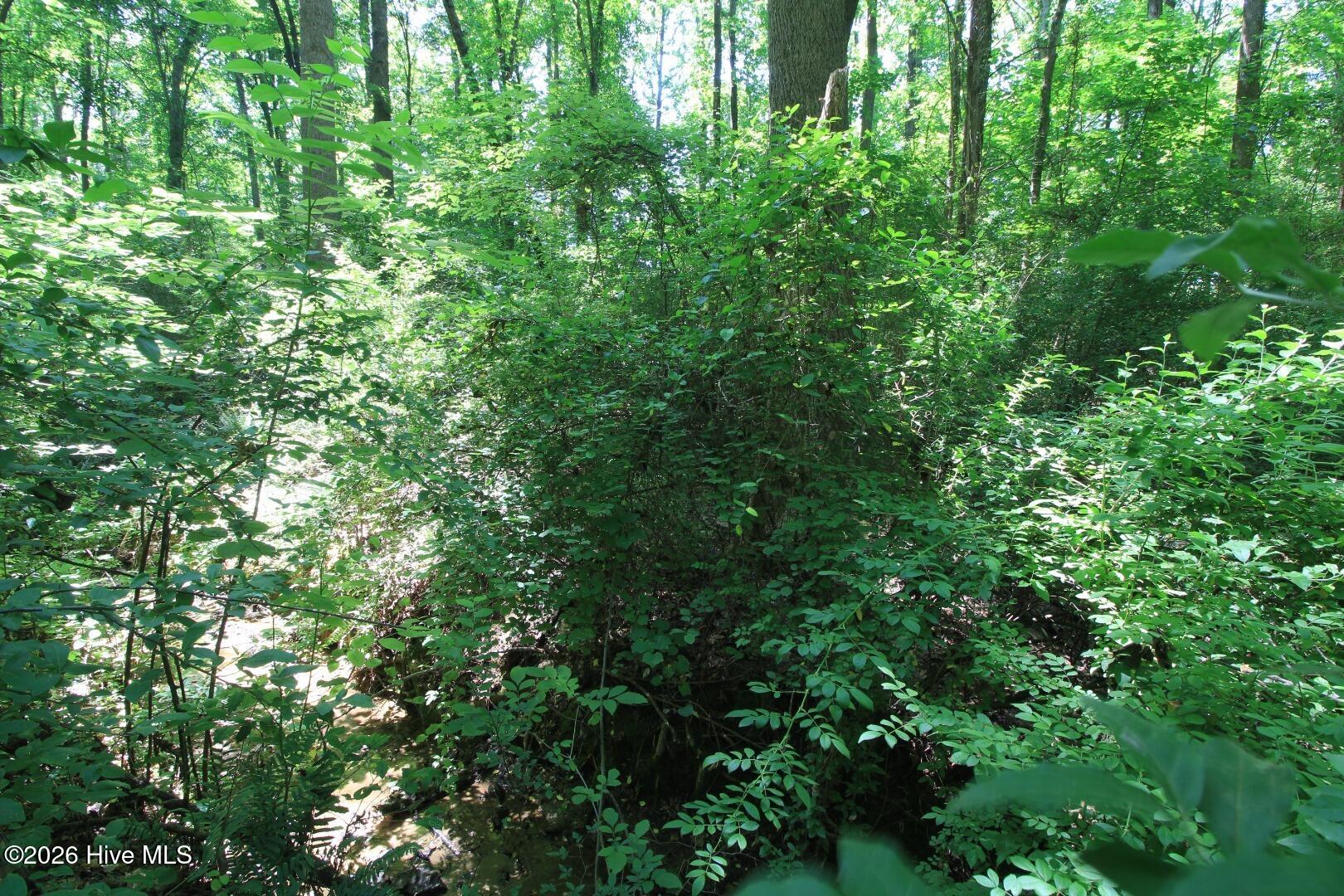 10466 Moores Chapel Road Charlotte, NC 28214 - Photo 45 of 50 Ground Tree Detail South Central