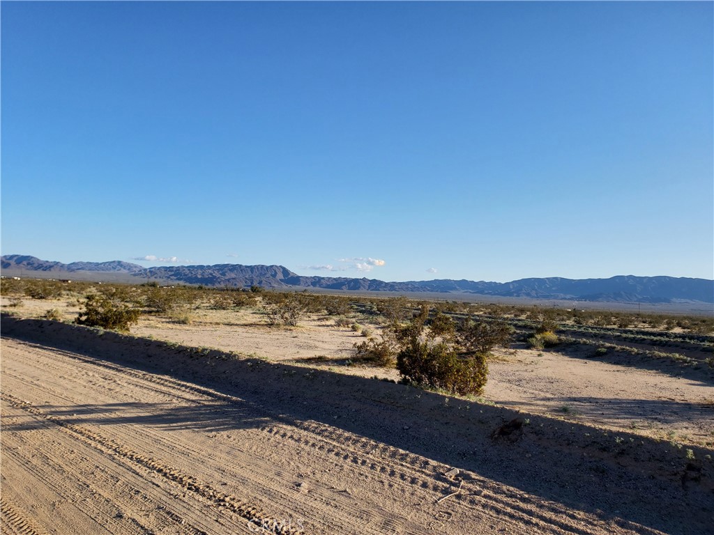 4461 Meriwether Road Twentynine Palms, CA 92277 - Photo 10 of 33