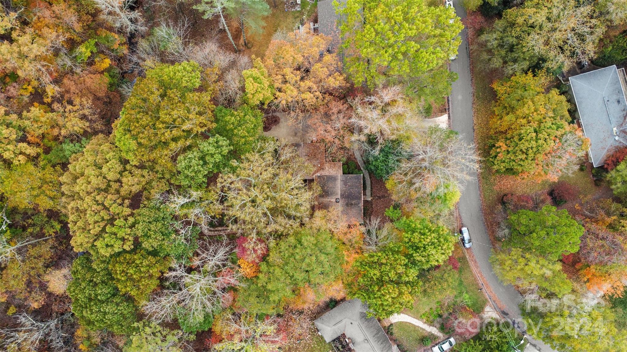 348 Beverly Circle Charlotte, NC 28270 - Photo 37 of 45 view of a tree with lots of plants