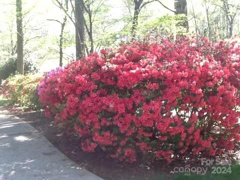 348 Beverly Circle Charlotte, NC 28270 - Photo 44 of 45 a backyard of a house with lots of green space