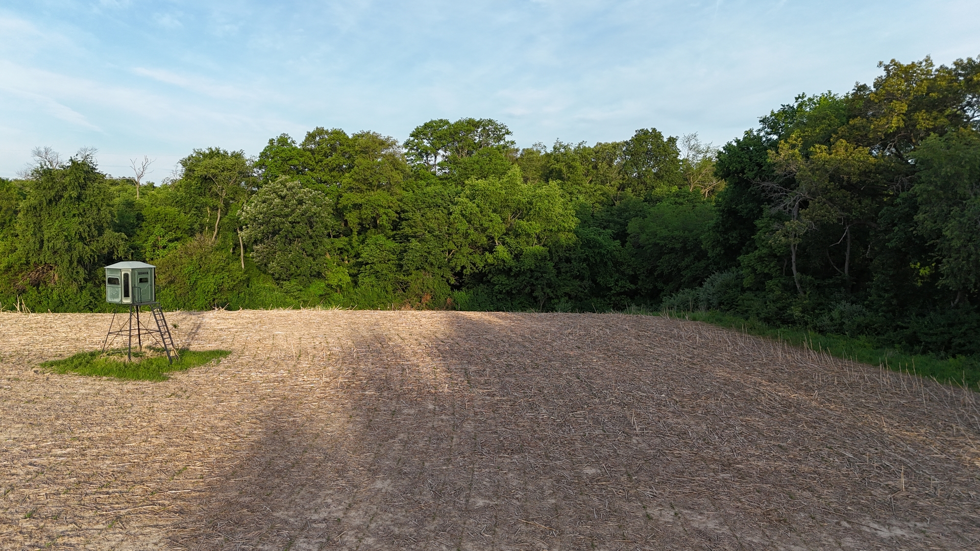 0 Ridgewood Road Milan, IL 61264 - Photo 38 of 43 a view of a yard