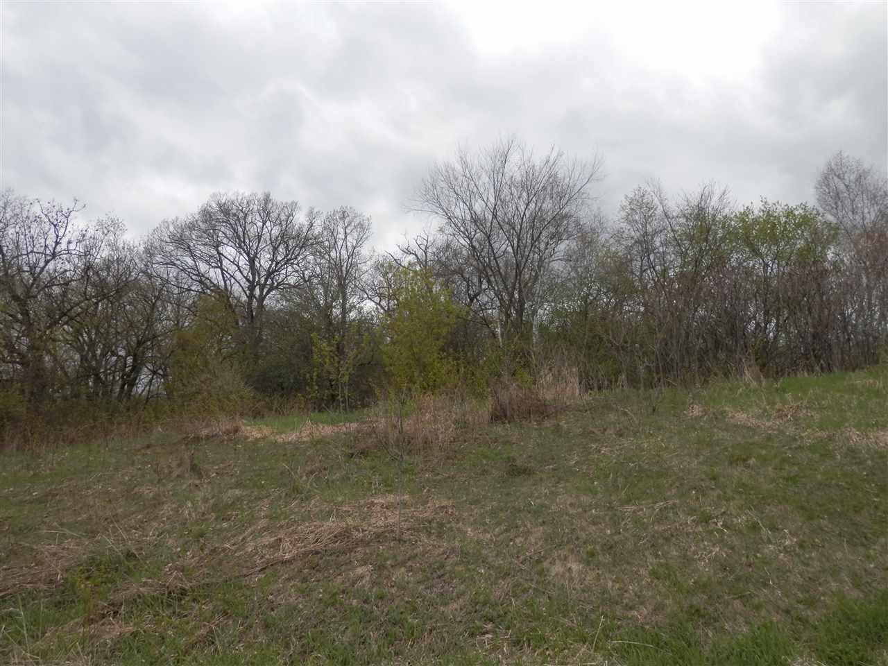 Lot 20 Spring Brook Tomah, WI 54660 - Photo 9 of 22