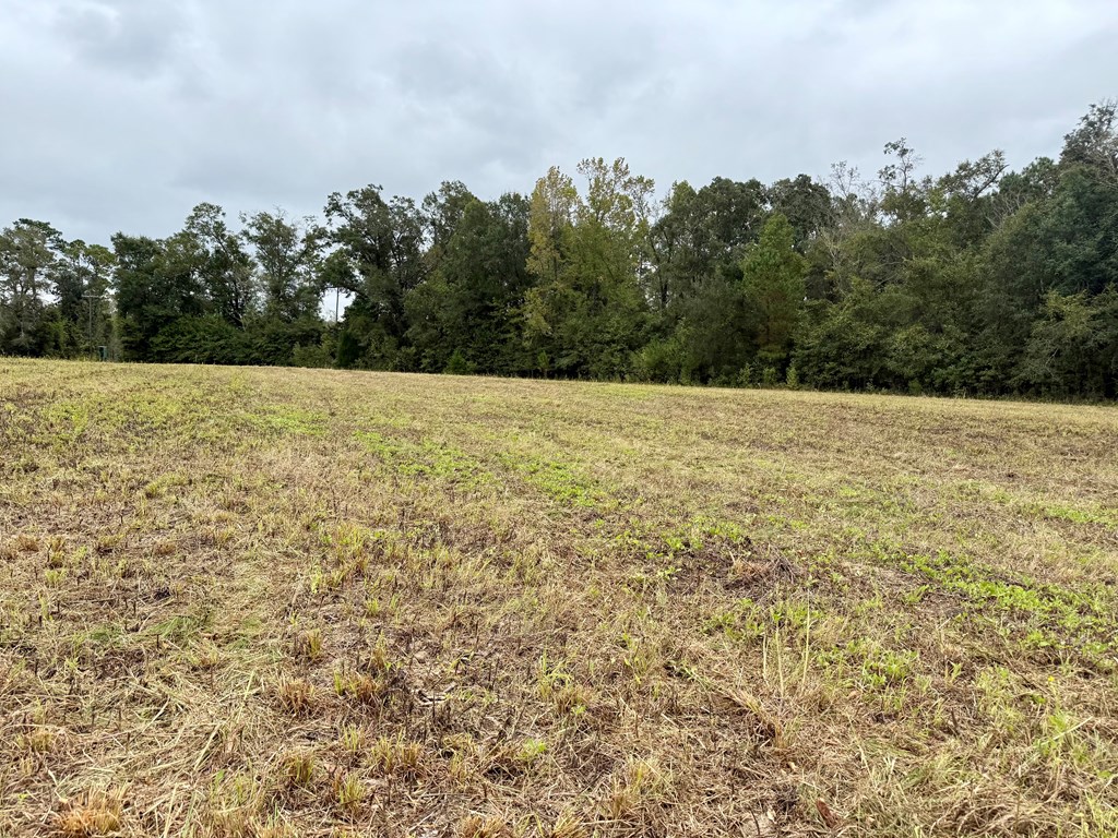 24-acres Mt Zion Road Gordon, AL 36343 - Photo 6 of 13