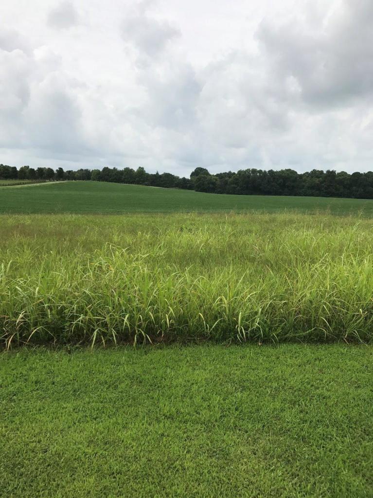 34 South Romine Loop Road Campbellsville, KY 42718 - Photo 4 of 16 Additional Photo