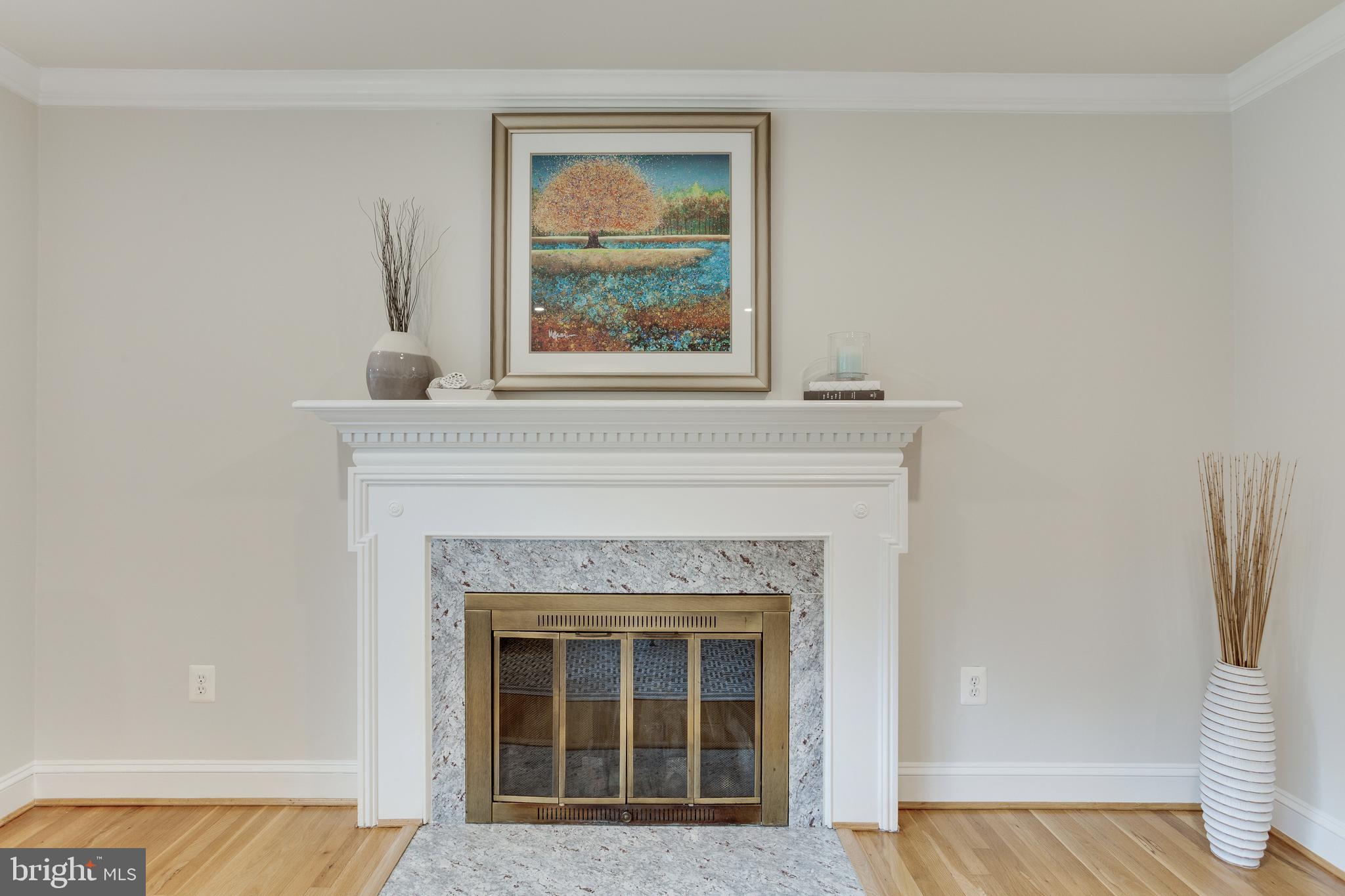 1913 Foxhall Road McLean, VA 22101 - Photo 10 of 61 Wood burning Fireplace with Marble