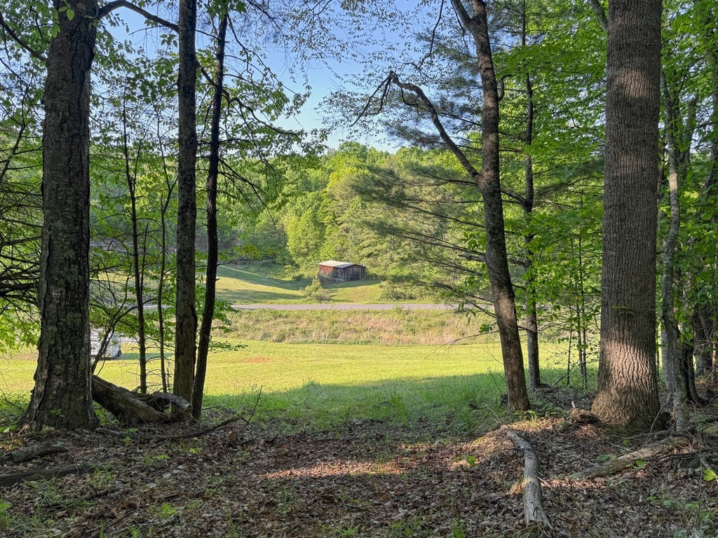 65-ac Dugspur Road, Unit 18 Dugspur, VA 24325 - Photo 9 of 68 Gallery Image 9