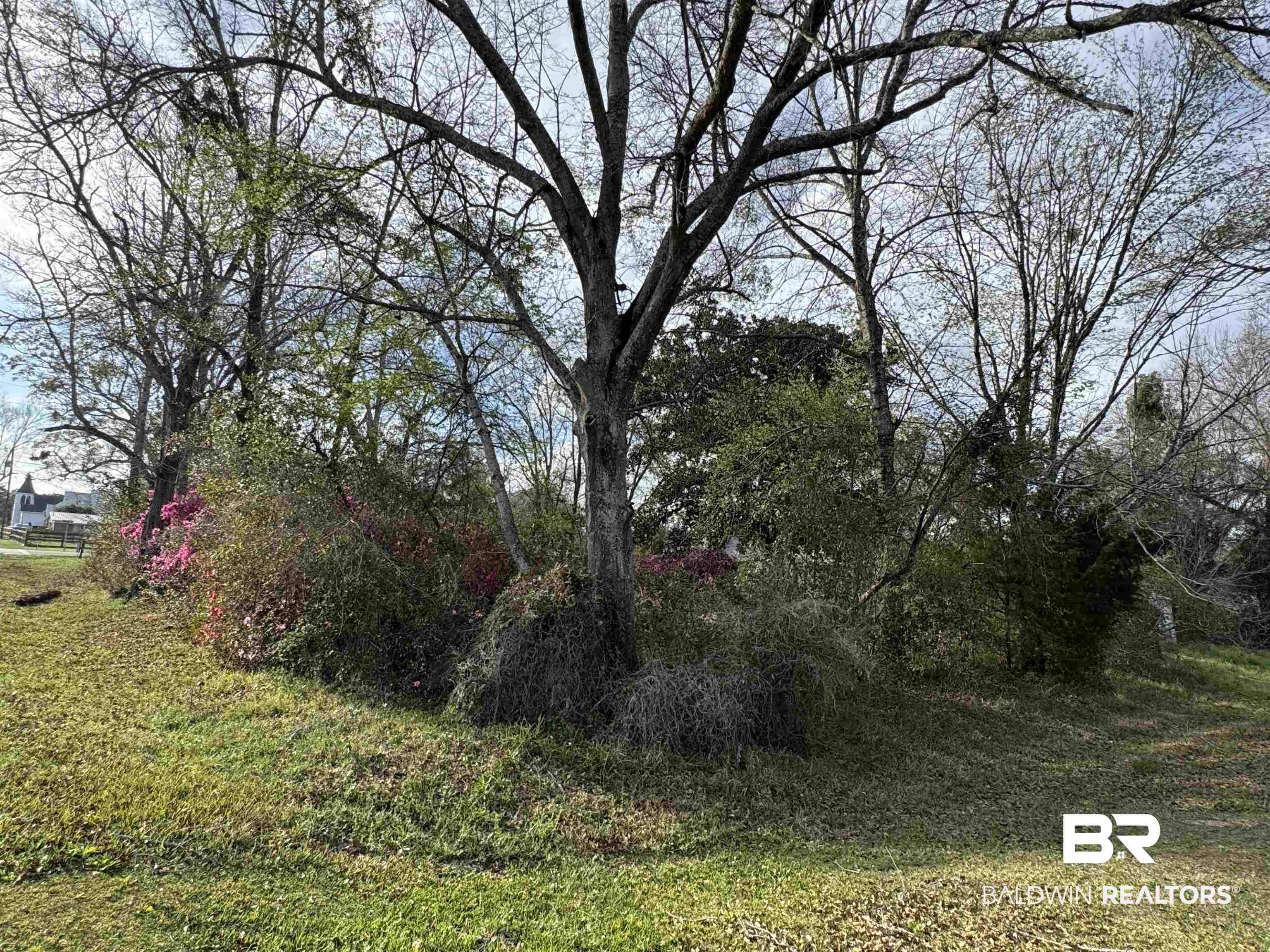 21898 Broad Street Silverhill, AL 36576 - Photo 10 of 19 Gallery Image 10