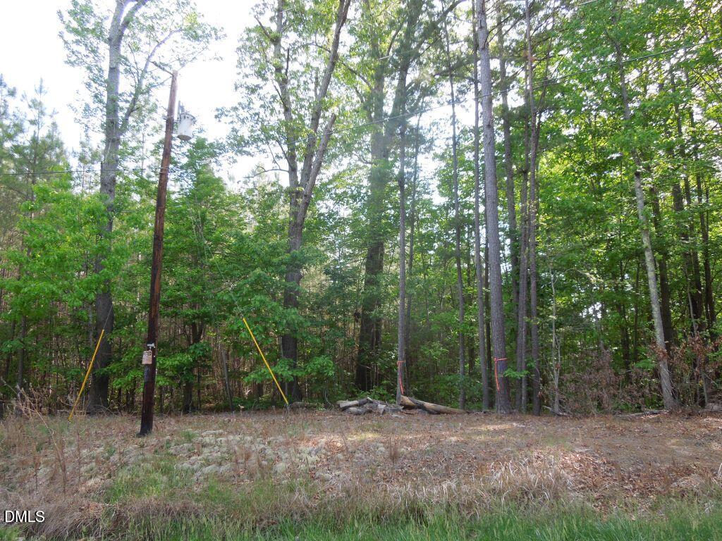 0 Glebe Road Henderson, NC 27537 - Photo 24 of 34 DSCN0499
