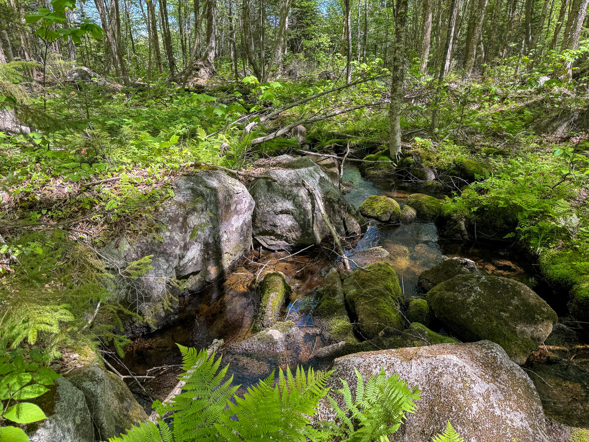 Lot 10 Morrison Brook, Unit ACRES Oakfield, ME 04763 - Photo 11 of 11