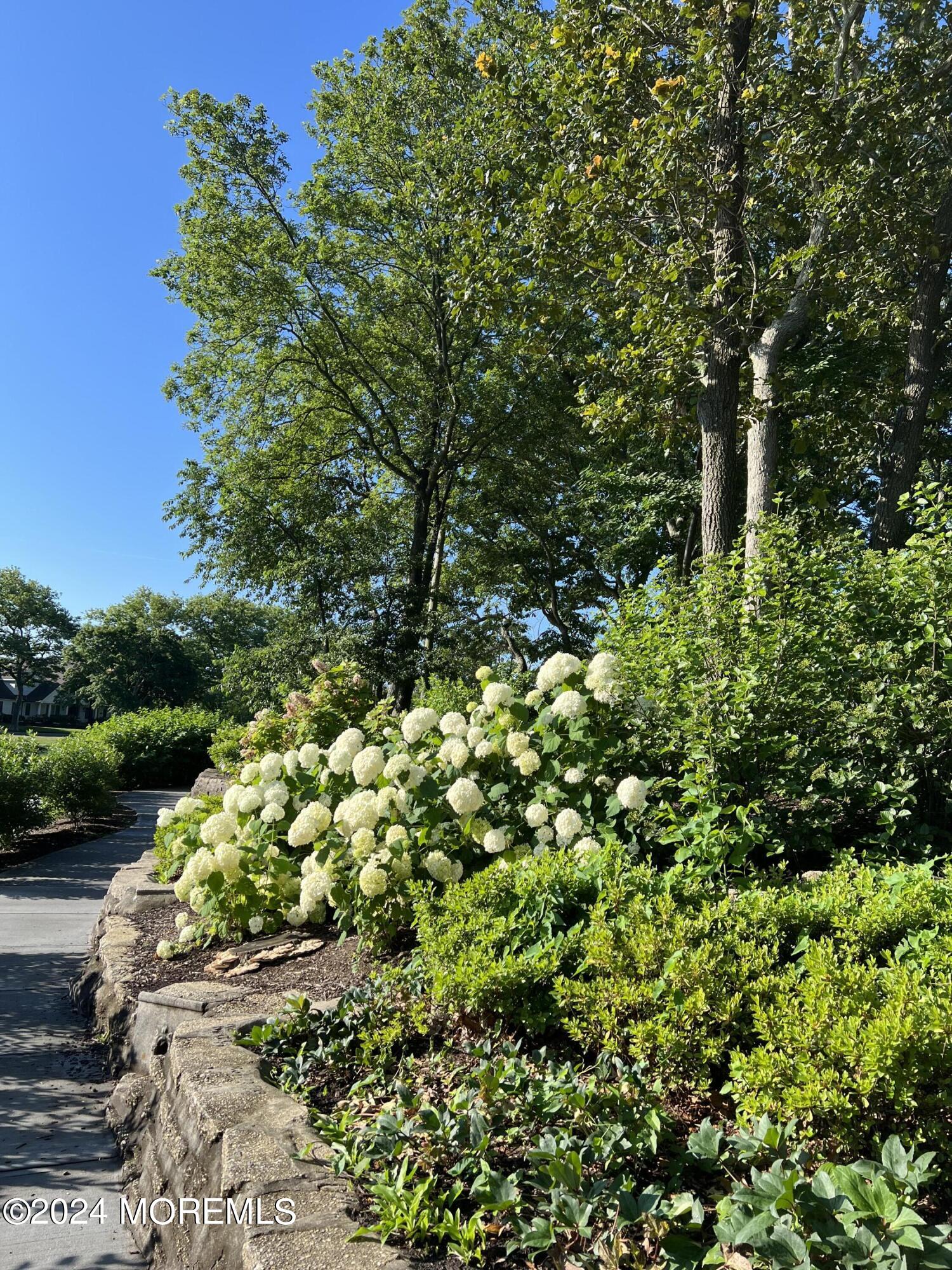 2122 Edgewood Place Spring Lake, NJ 07762 - Photo 19 of 23 a backyard of a house with lots of green space