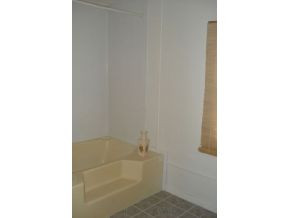 995 St Tide Hollow Road Newport, TN 37821 - Photo 10 of 10 Master Bath