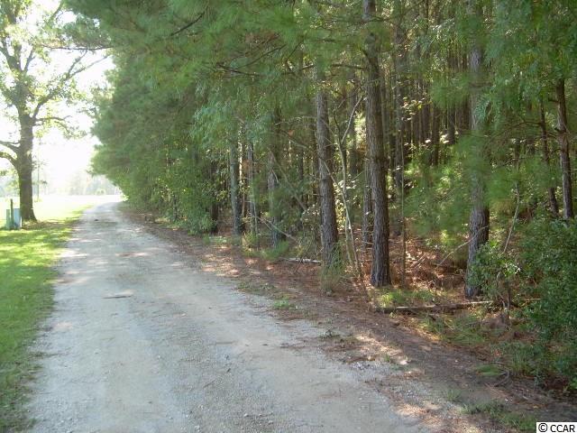 Lot 8 Old Reaves Ferry Road Conway, SC 29526 - Photo 1 of 3 Gallery Image 1