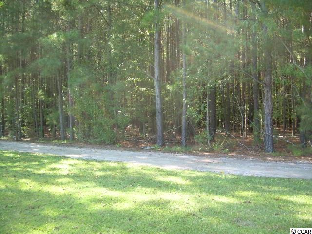 Lot 8 Old Reaves Ferry Road Conway, SC 29526 - Photo 2 of 3 Gallery Image 2