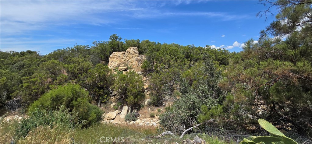 37990 Tripp Flats Road Anza, CA 92539 - Photo 1 of 1 Rock formation, front and center from the RV
