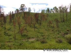 9999 Clark Road Marshall, NC 28753 - Photo 2 of 12 a view of a green field