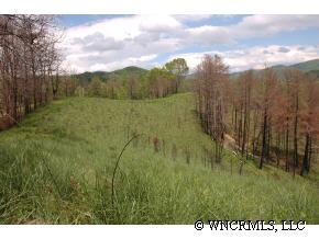 9999 Clark Road Marshall, NC 28753 - Photo 4 of 12 a view of a yard