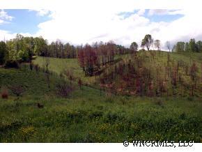 9999 Clark Road Marshall, NC 28753 - Photo 6 of 12 a view of a lush green forest with a tree