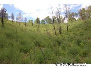 9999 Clark Road Marshall, NC 28753 - Photo 10 of 12 a view of a big yard