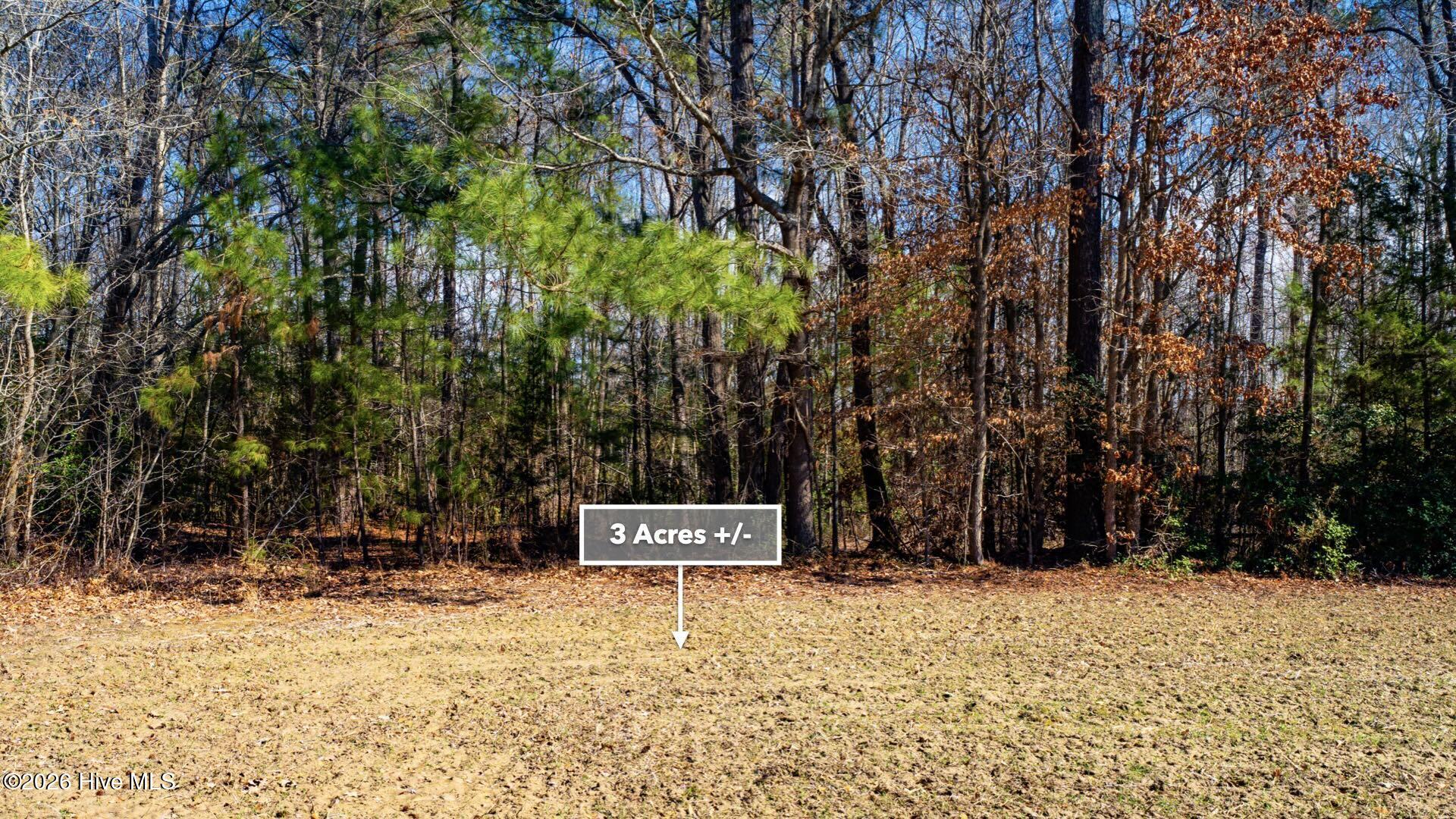 358 Parker Road Murfreesboro, NC 27855 - Photo 20 of 81 29