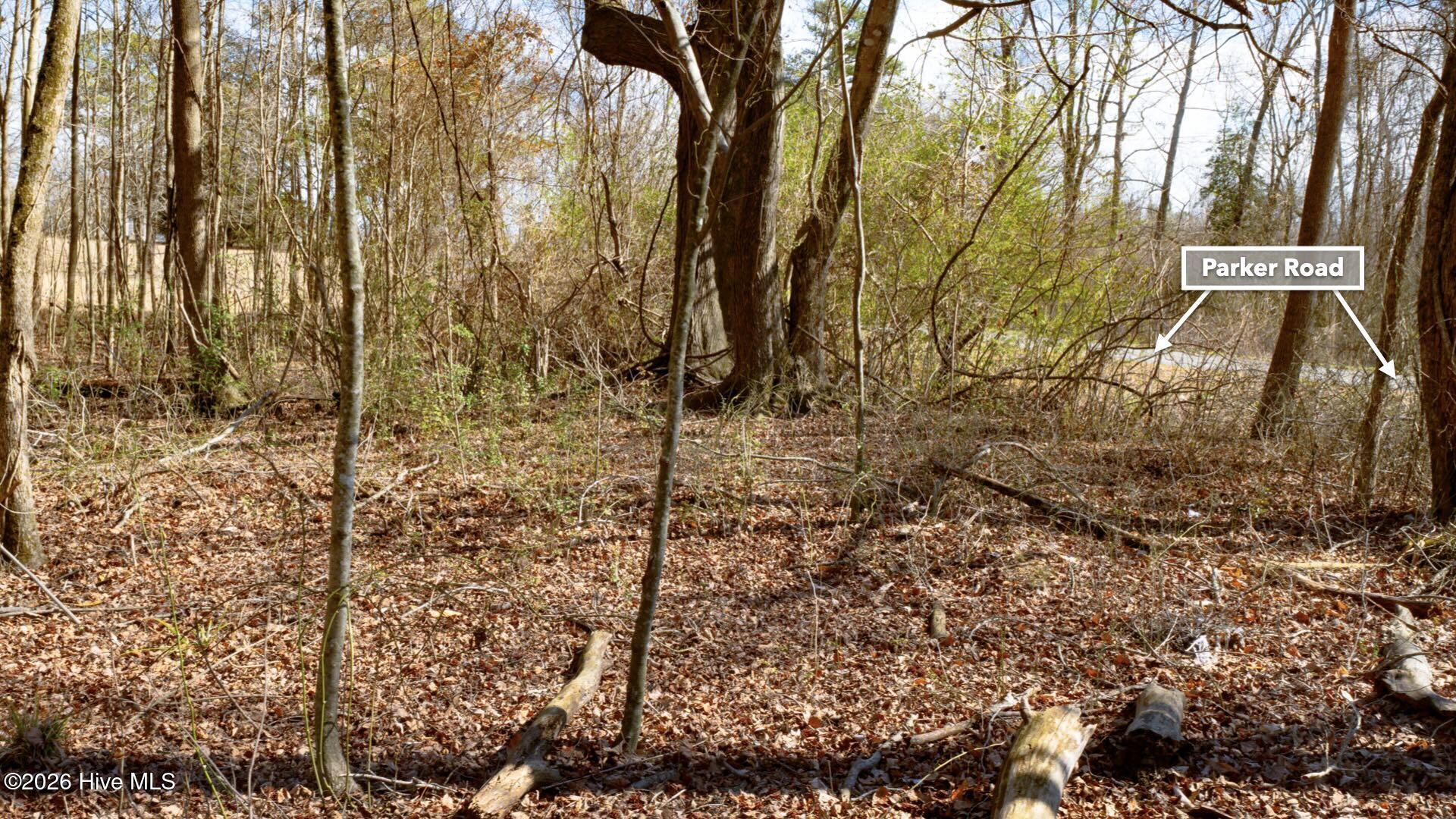 358 Parker Road Murfreesboro, NC 27855 - Photo 23 of 81 32