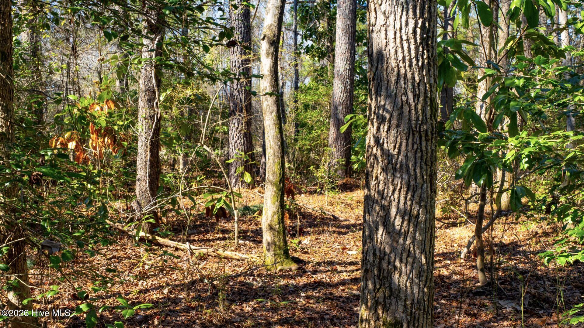 358 Parker Road Murfreesboro, NC 27855 - Photo 38 of 81 47