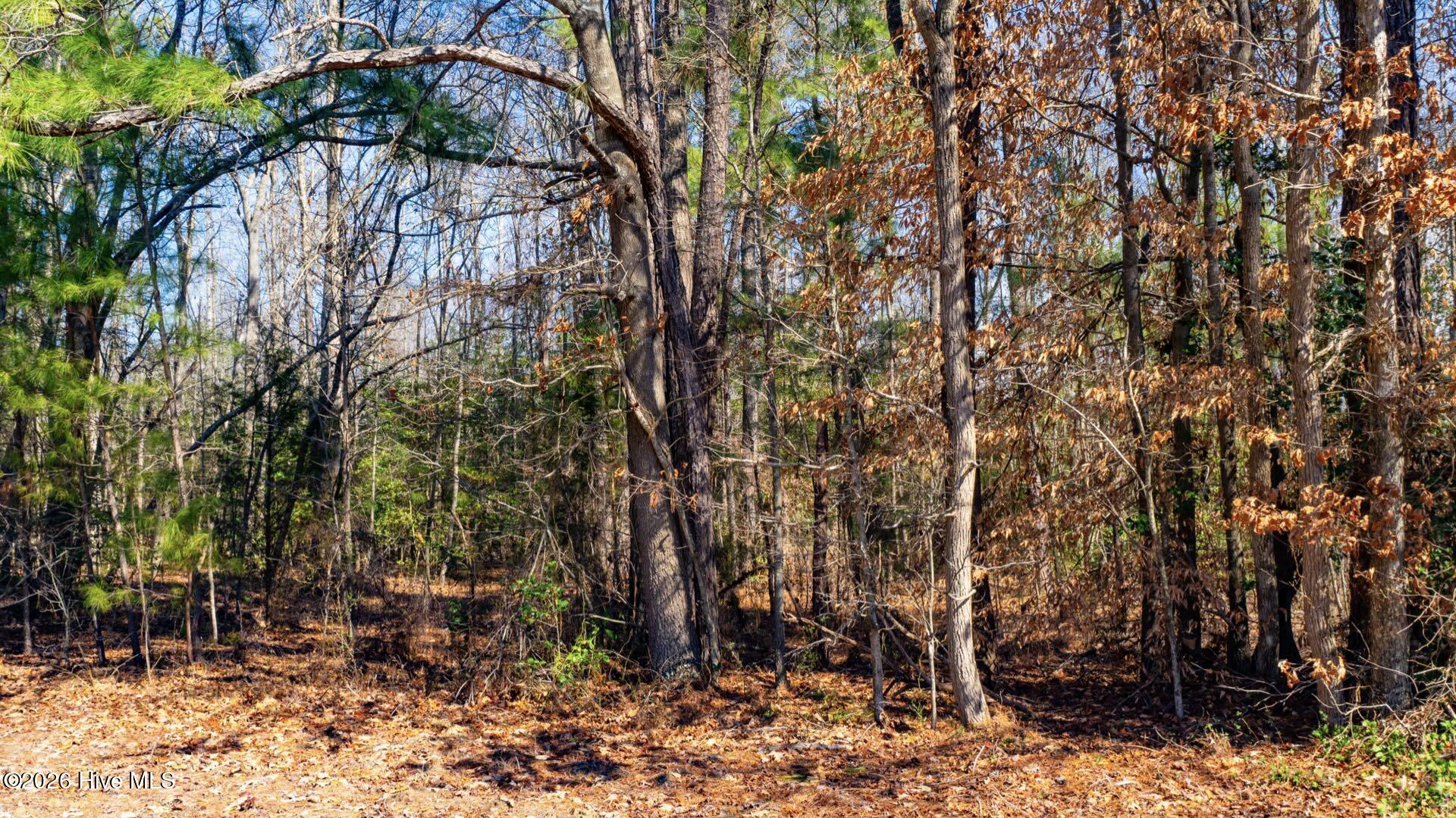 358 Parker Road Murfreesboro, NC 27855 - Photo 39 of 81 48