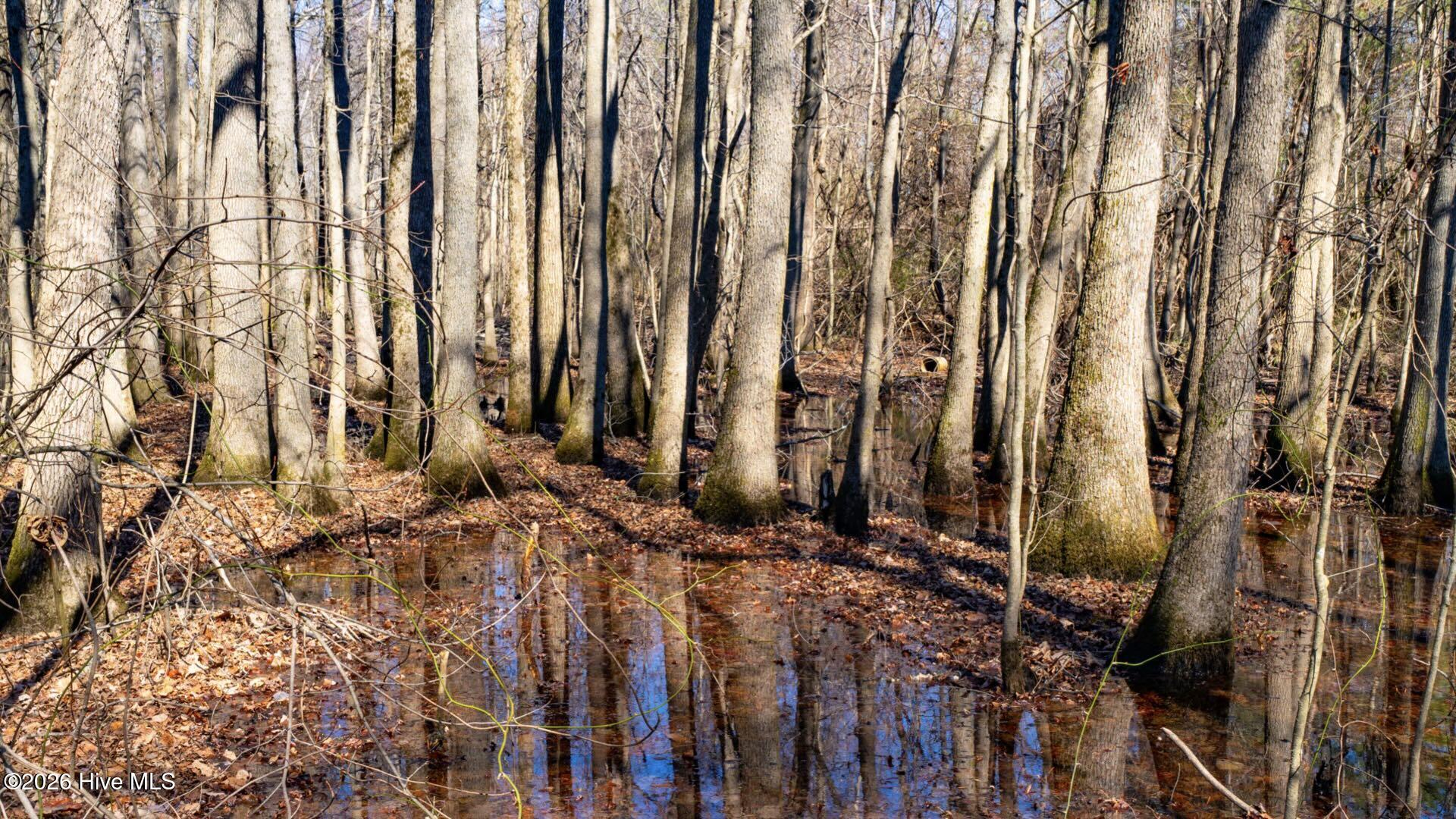 358 Parker Road Murfreesboro, NC 27855 - Photo 40 of 81 49