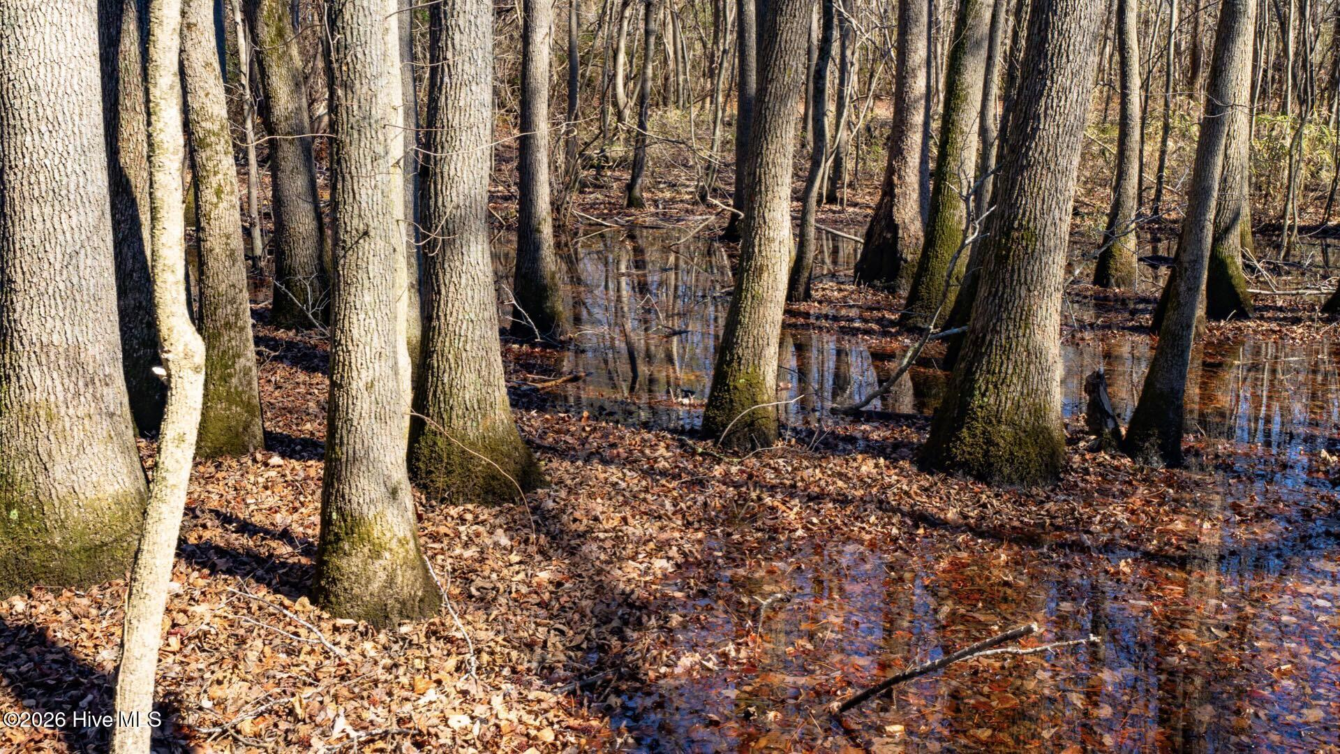 358 Parker Road Murfreesboro, NC 27855 - Photo 42 of 81 51