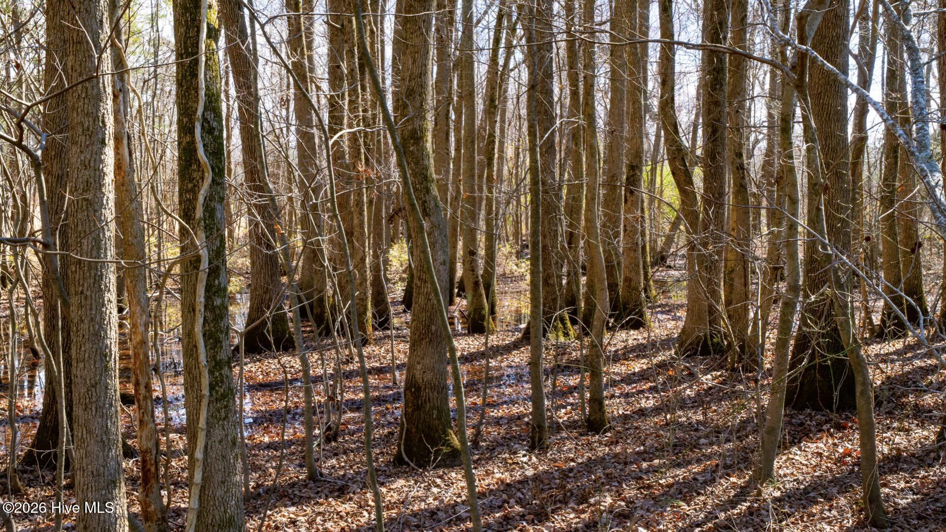 358 Parker Road Murfreesboro, NC 27855 - Photo 44 of 81 53