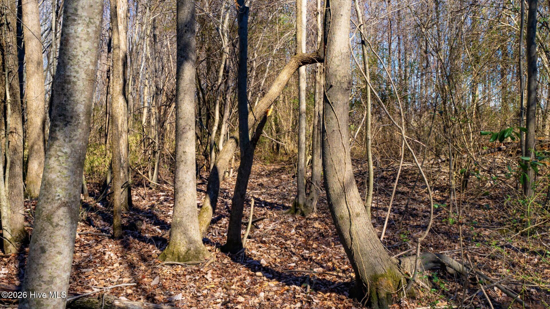 358 Parker Road Murfreesboro, NC 27855 - Photo 45 of 81 54