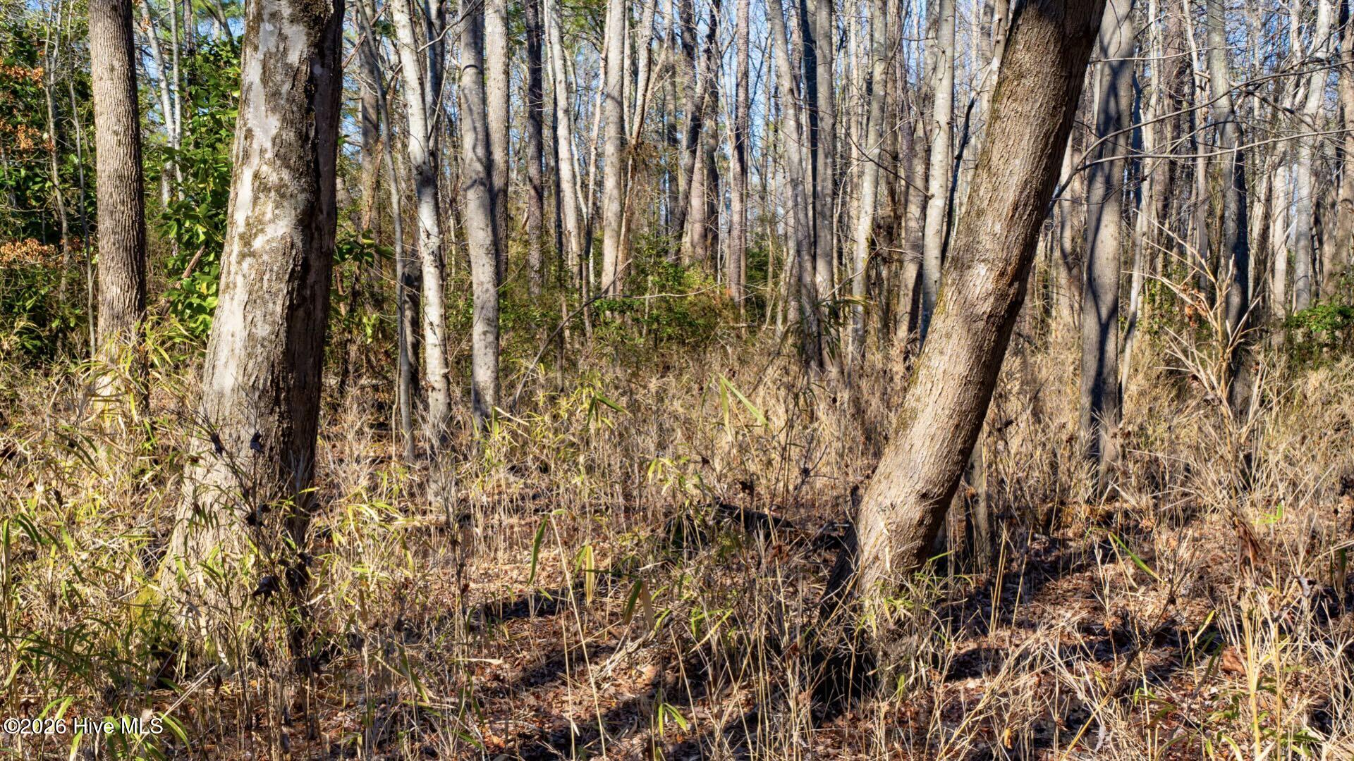 358 Parker Road Murfreesboro, NC 27855 - Photo 46 of 81 55