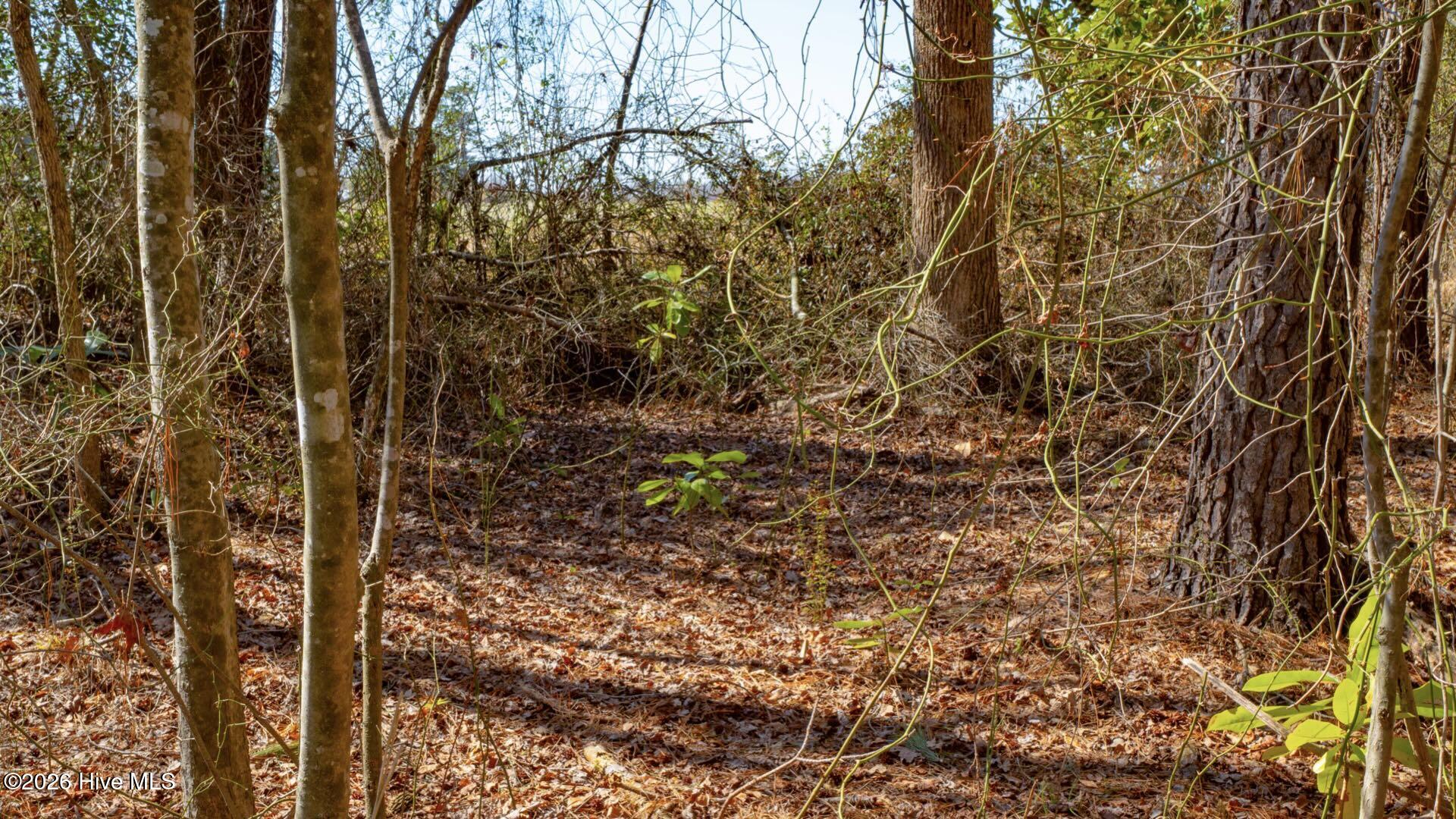 358 Parker Road Murfreesboro, NC 27855 - Photo 47 of 81 56