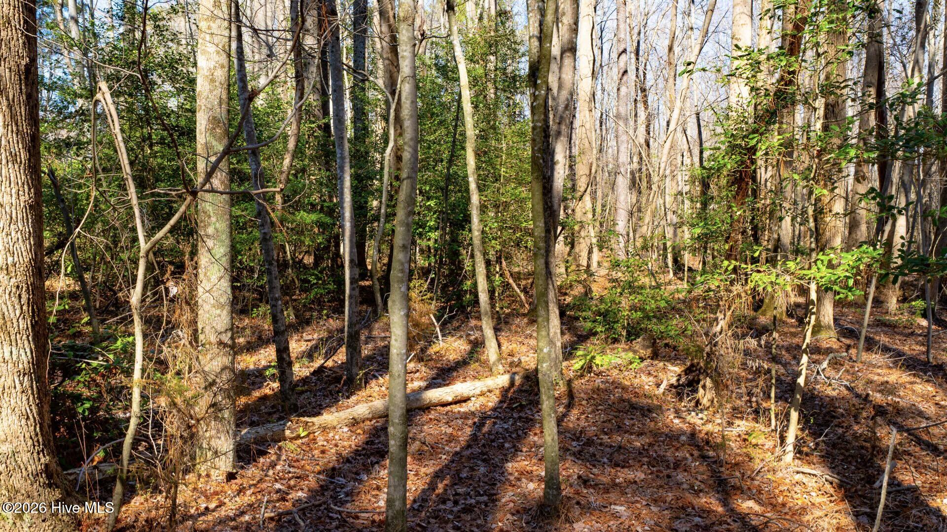 358 Parker Road Murfreesboro, NC 27855 - Photo 48 of 81 57