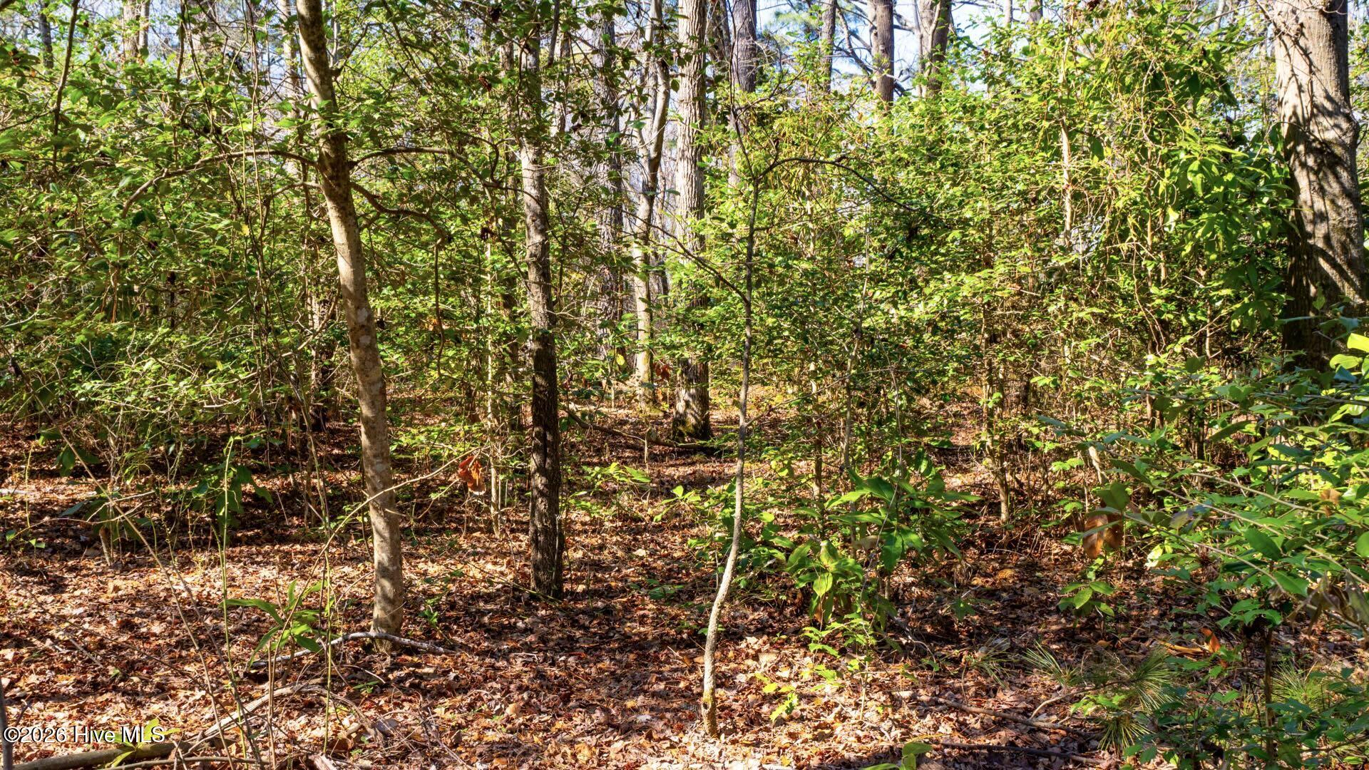 358 Parker Road Murfreesboro, NC 27855 - Photo 49 of 81 58