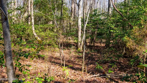 $29,500 | 358 Parker Road, Murfreesboro, NC 27855