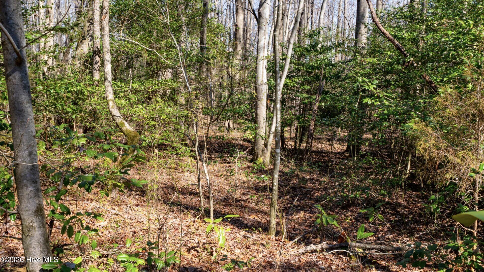 358 Parker Road Murfreesboro, NC 27855 - Photo 51 of 81 60