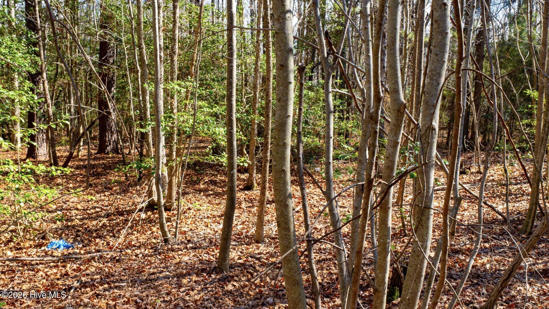 358 Parker Road Murfreesboro, NC 27855 - Photo 52 of 81 61