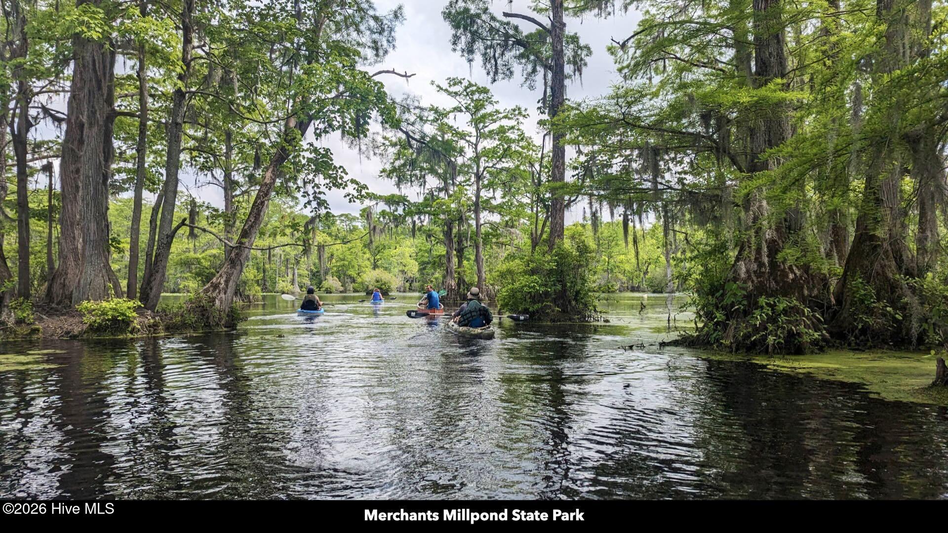 358 Parker Road Murfreesboro, NC 27855 - Photo 71 of 81 84