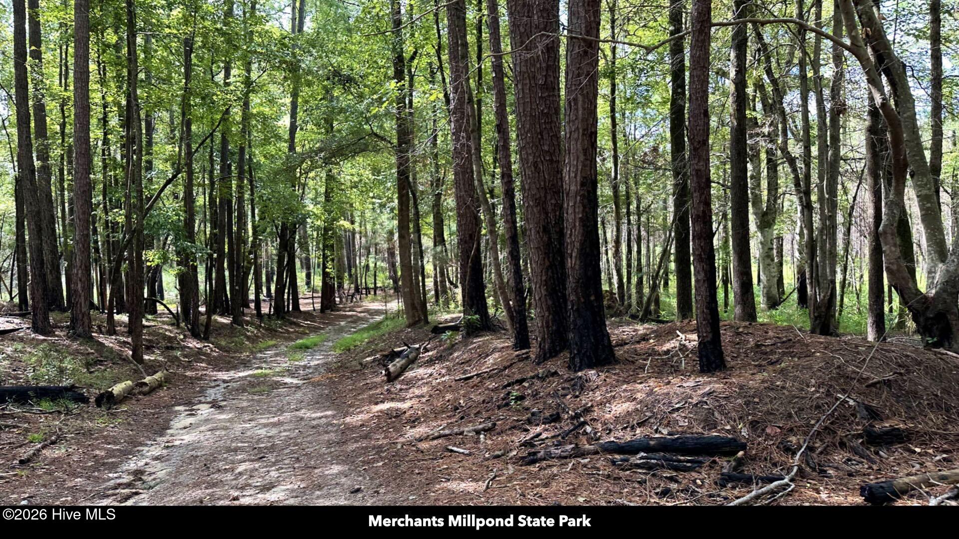 358 Parker Road Murfreesboro, NC 27855 - Photo 72 of 81 86