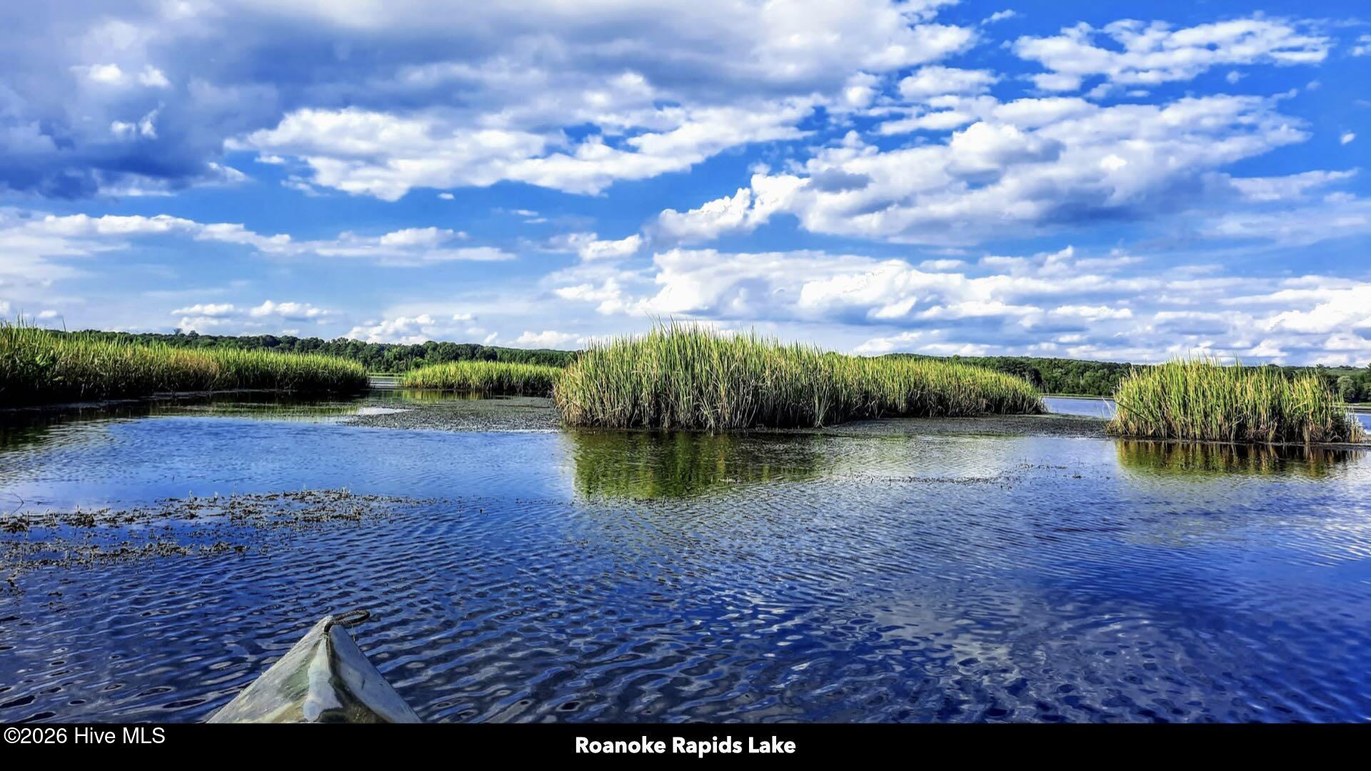 358 Parker Road Murfreesboro, NC 27855 - Photo 76 of 81 90