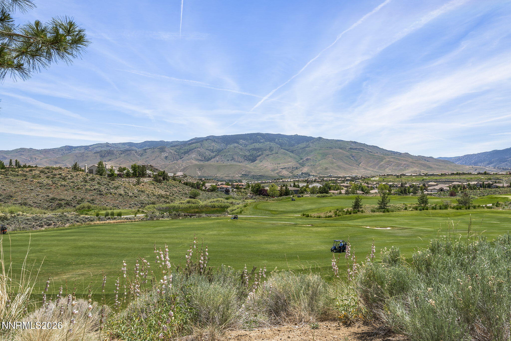 8930 Chipshot Trail Reno, NV 89523 - Photo 23 of 31 28-web-or-mls-_DSC1927